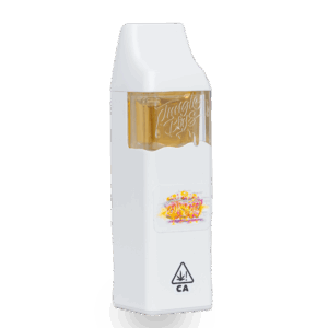 jungle boys
