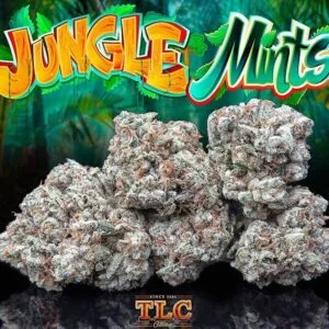 Jungle Boys